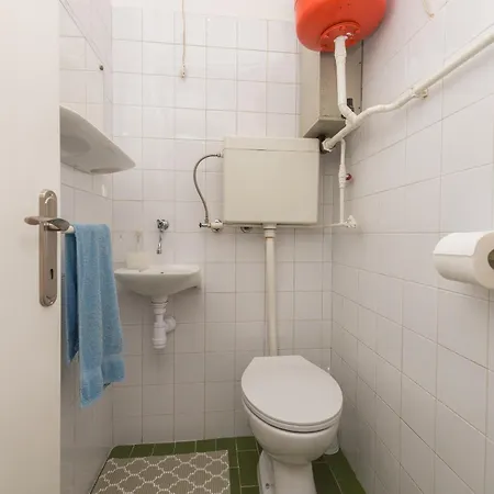 Violet * מאקרסקה